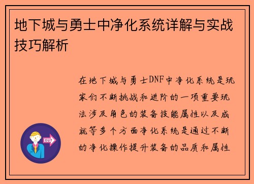 地下城与勇士中净化系统详解与实战技巧解析